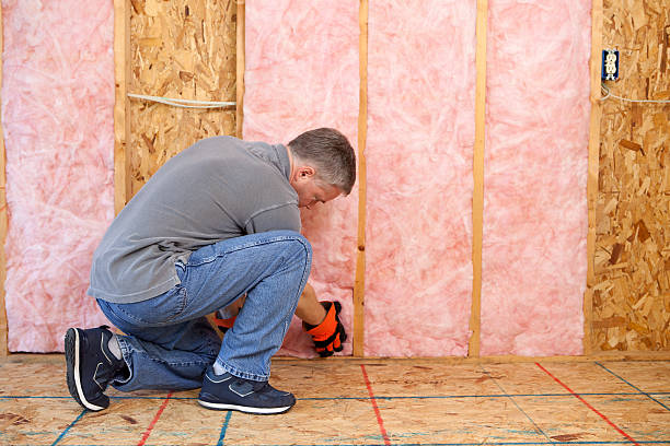 Best Spray Foam Insulation  in Villisca, IA